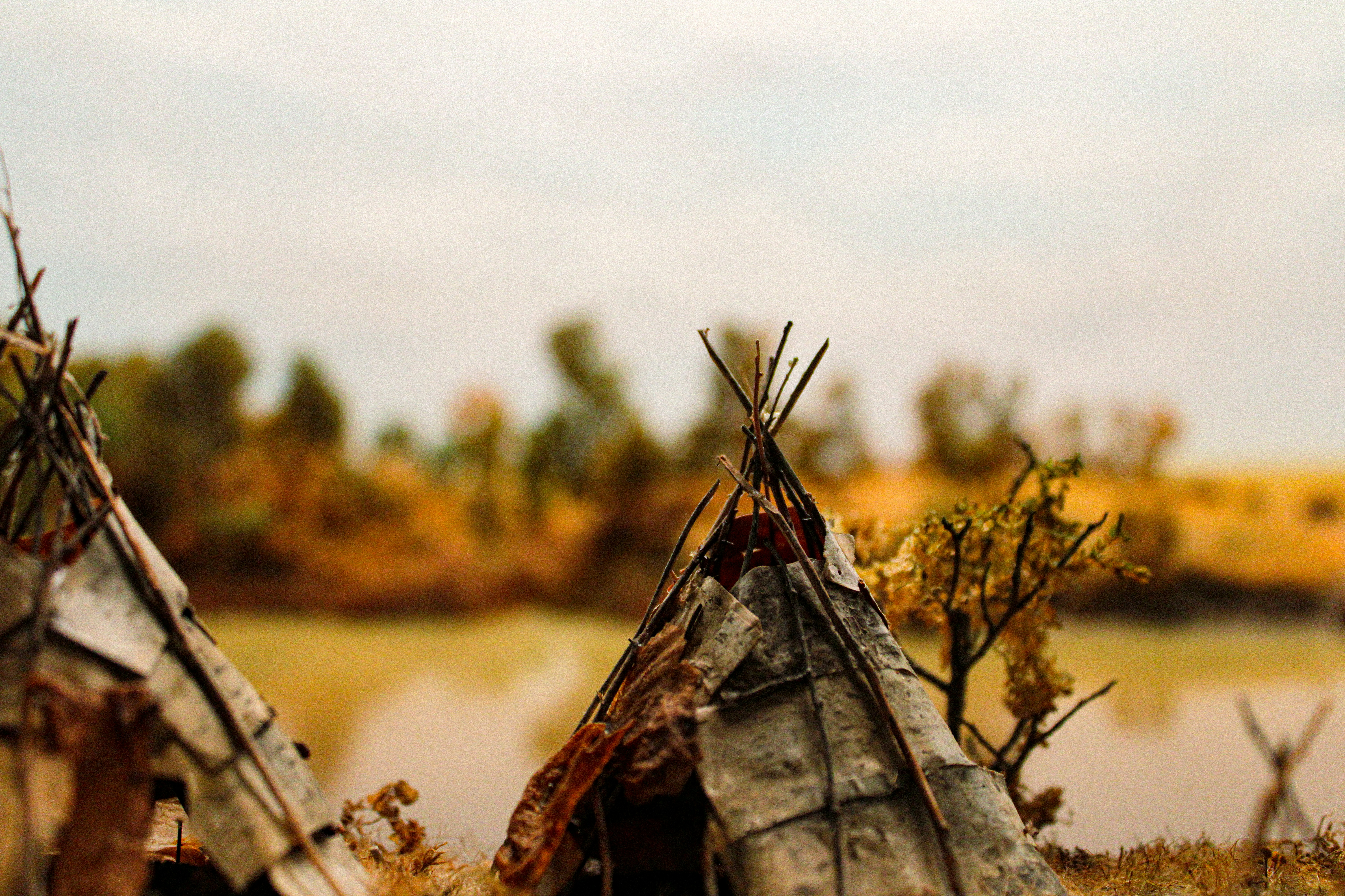 Rethinking the Potential and Challenge of Payment for Environmental Services for Indigenous Community